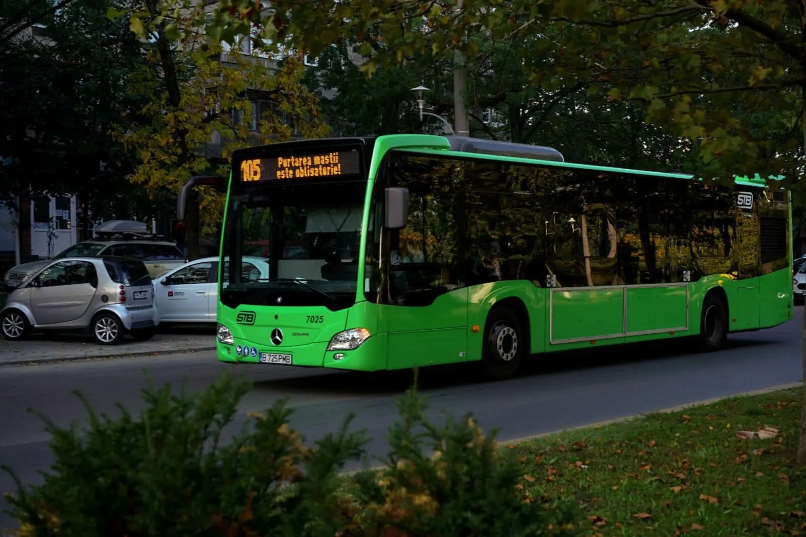 Autobuzele