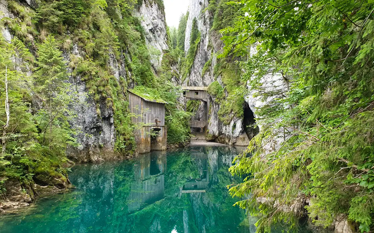 Bucegi