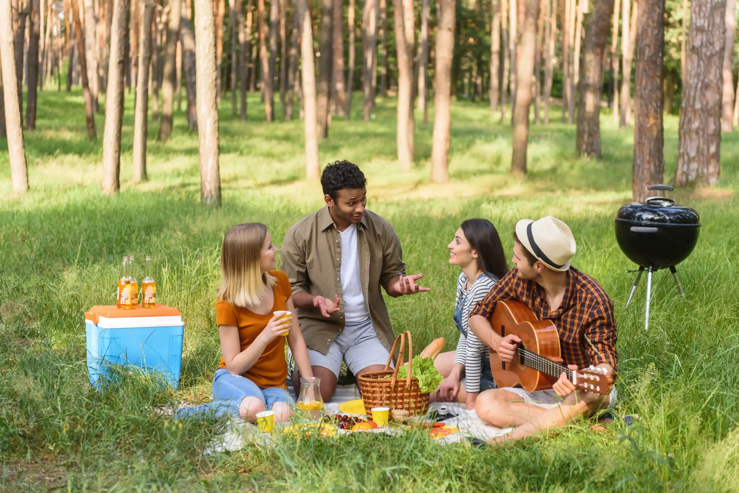 Trasee și picnicuri: Locul de joacă al naturii